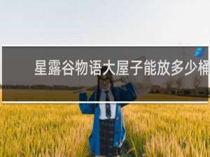 星露谷物语大屋子能放多少桶