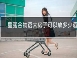 星露谷物语大房子可以放多少酒桶