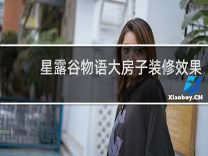 星露谷物语大房子装修效果