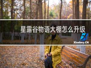 星露谷物语大棚怎么升级