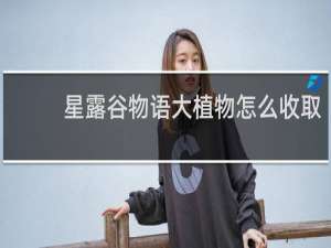 星露谷物语大植物怎么收取
