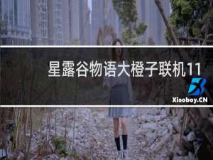 星露谷物语大橙子联机11
