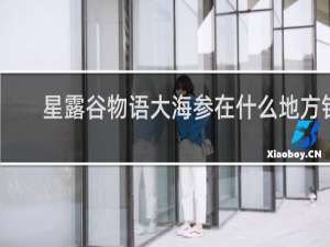 星露谷物语大海参在什么地方钓