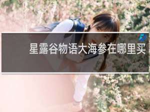 星露谷物语大海参在哪里买