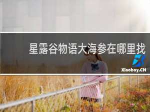 星露谷物语大海参在哪里找