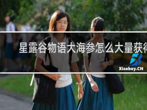 星露谷物语大海参怎么大量获得