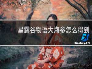 星露谷物语大海参怎么得到