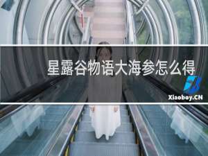 星露谷物语大海参怎么得