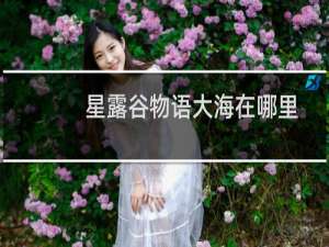 星露谷物语大海在哪里