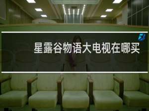 星露谷物语大电视在哪买