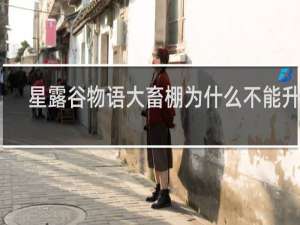 星露谷物语大畜棚为什么不能升级