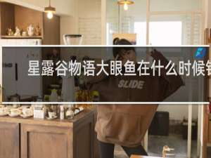 星露谷物语大眼鱼在什么时候钓