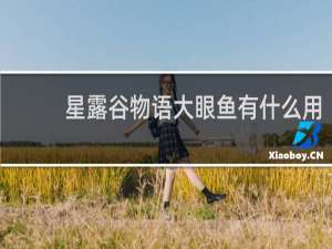 星露谷物语大眼鱼有什么用