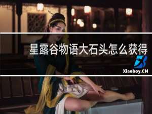 星露谷物语大石头怎么获得