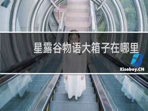星露谷物语大箱子在哪里