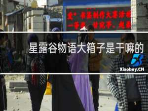 星露谷物语大箱子是干嘛的