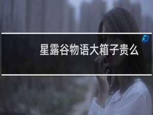 星露谷物语大箱子贵么