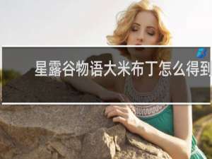 星露谷物语大米布丁怎么得到