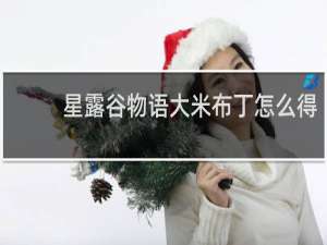 星露谷物语大米布丁怎么得
