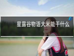 星露谷物语大米能干什么