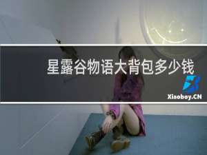 星露谷物语大背包多少钱