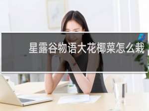 星露谷物语大花椰菜怎么栽