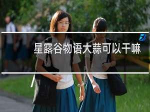 星露谷物语大蒜可以干嘛