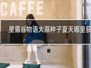 星露谷物语大蒜种子夏天哪里获得