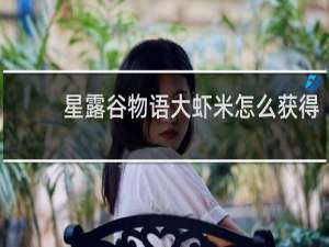 星露谷物语大虾米怎么获得