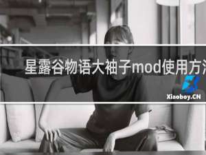 星露谷物语大袖子mod使用方法