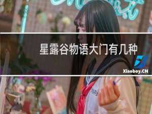星露谷物语大门有几种