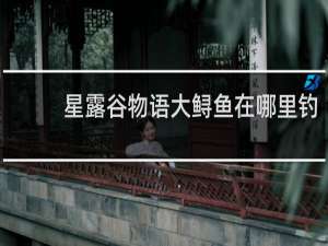 星露谷物语大鲟鱼在哪里钓