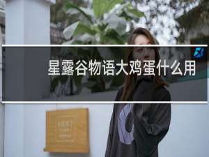 星露谷物语大鸡蛋什么用