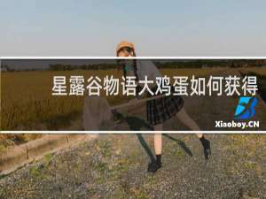 星露谷物语大鸡蛋如何获得