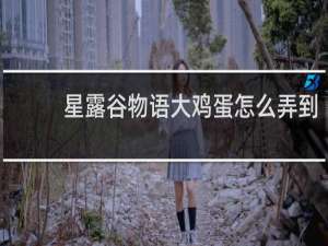 星露谷物语大鸡蛋怎么弄到