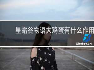 星露谷物语大鸡蛋有什么作用