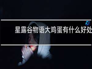 星露谷物语大鸡蛋有什么好处