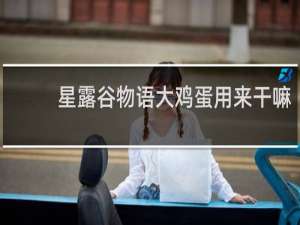 星露谷物语大鸡蛋用来干嘛