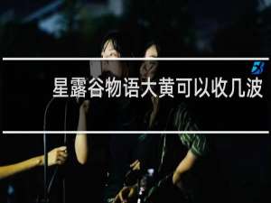 星露谷物语大黄可以收几波