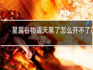 星露谷物语天黑了怎么开不了门