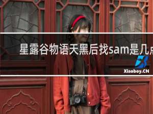 星露谷物语天黑后找sam是几点