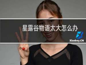 星露谷物语太大怎么办