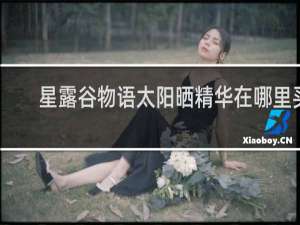 星露谷物语太阳晒精华在哪里买