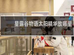 星露谷物语太阳精华放哪里