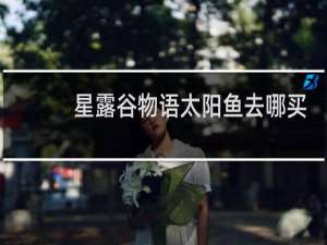 星露谷物语太阳鱼去哪买
