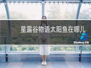 星露谷物语太阳鱼在哪儿