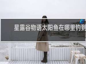 星露谷物语太阳鱼在哪里钓到