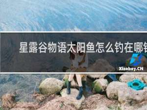 星露谷物语太阳鱼怎么钓在哪钓