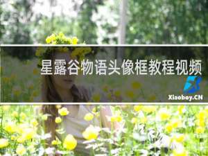 星露谷物语头像框教程视频
