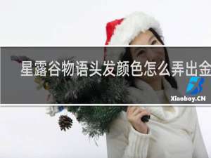 星露谷物语头发颜色怎么弄出金色